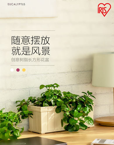 爱丽思IRIS长方形种植花盆