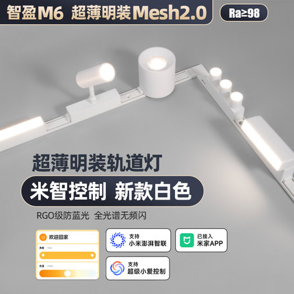 已接入米家APP智能磁吸轨道灯超薄明装白色客厅极简免吊顶无主灯
