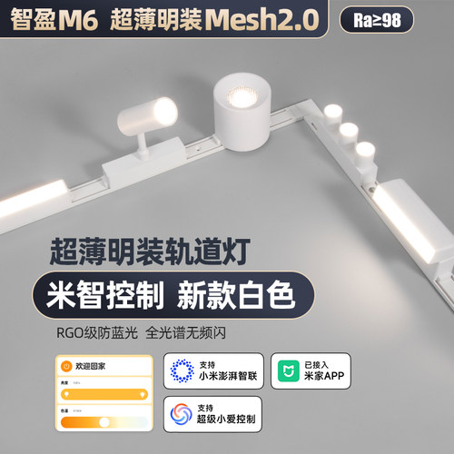 智能2.0白色超薄明装磁吸轨道灯