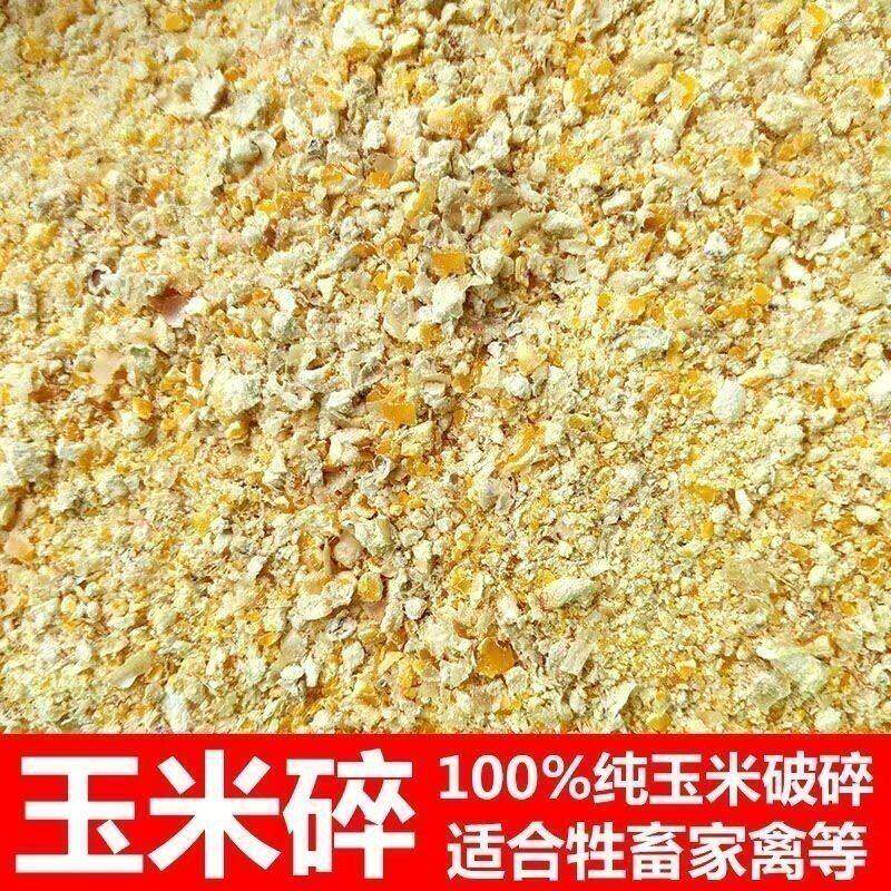 新鲜玉米碎面家禽苞米饲