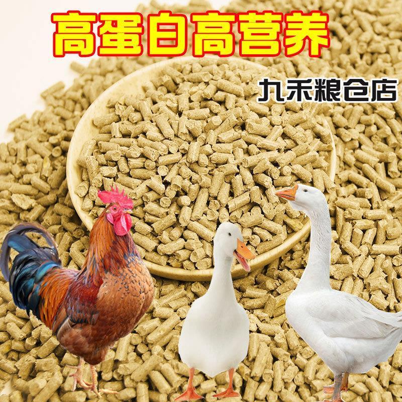 鸡饲料喂鸡鸭鹅通用营养颗粒饲料20斤小鸡开口料厂家直销育肥肉鸡
