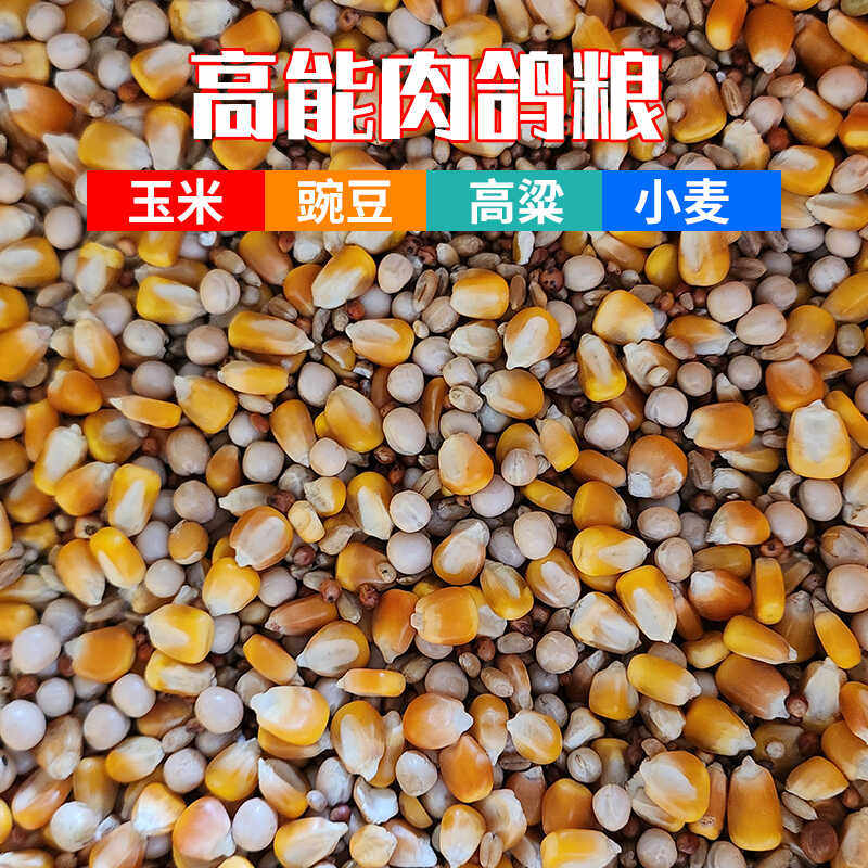 高能鸽粮肉鸽幼鸽成鸽肉种鸽玉米高粱豌豆小麦混合饲料信鸽观赏鸽