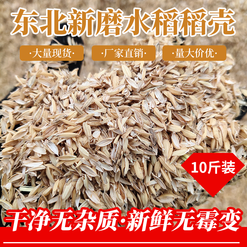 东北新磨水稻稻壳农家稻谷壳新鲜稻壳谷壳酿酒垫料枕头枕芯填充