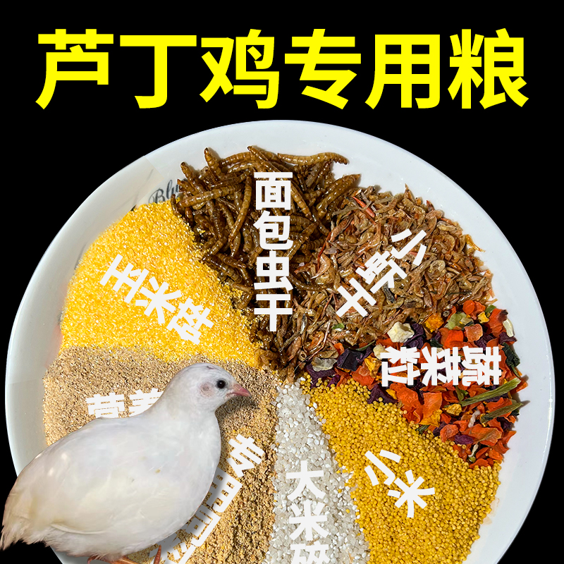 芦丁鸡饲料专用育雏产蛋开口粮食卢丁鸡食粮幼鸡食物零食蔬菜干