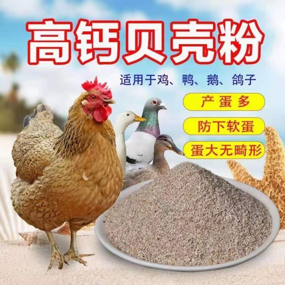 厂家直销高钙贝壳粉蛤蜊壳粉防下软蛋补钙喂鸽子喂鸡饲料粗细粗细