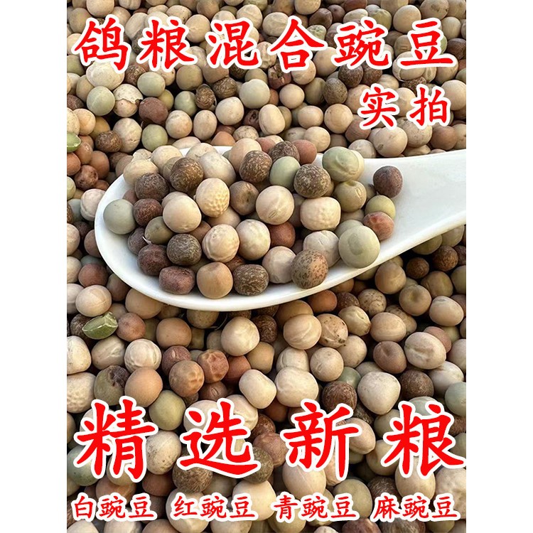 鸽粮混合豌豆鸽料优质鸽子粮信鸽赛鸽观赏鸽专用鸟食饲料3斤20斤