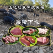 猪肝肚心腰蹄肥肠板油尾巴黑猪土猪肉生新鲜农家散养猪下水