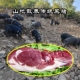 土猪肉黑猪肉山地散养农家传统黑猪黑毛猪新鲜五花肉腿肉笨猪肉