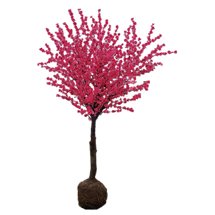 重瓣榆叶梅花树苗盆栽阳台庭院耐寒花卉植物四季郁李花苗麦李盆栽