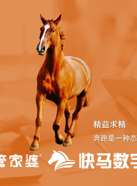 快马数字管家婆含装修限时促销
