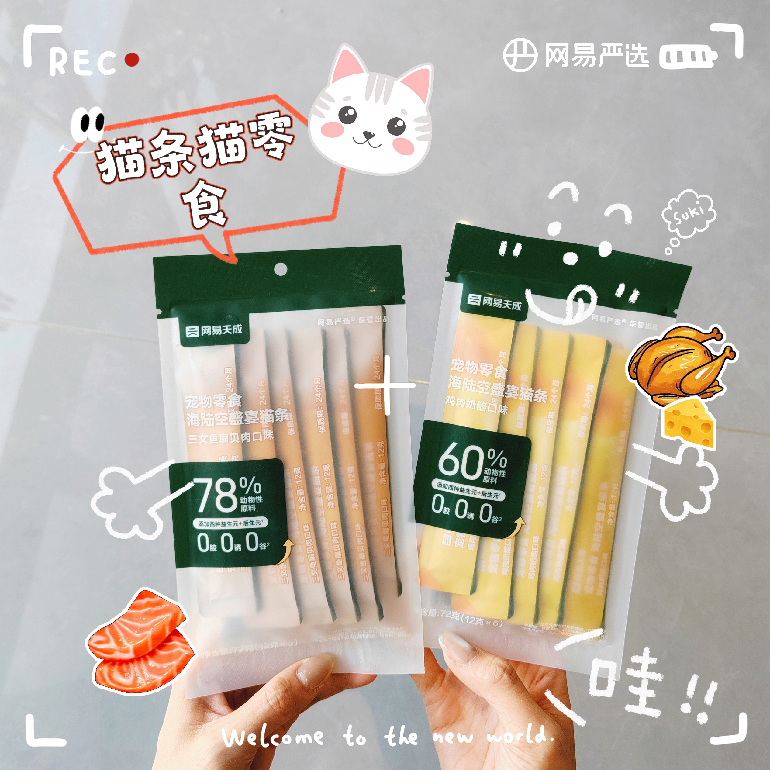 网易天成海陆空盛宴猫条