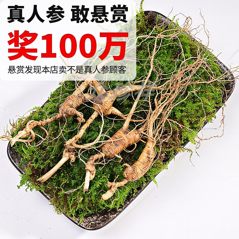山参新鲜林下参15年新挖长白山人参移山参送礼煲汤滋补品产地直发