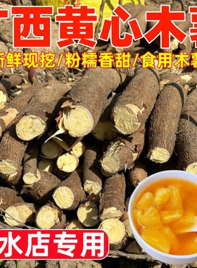 黄心木薯新鲜现挖当季广西特产黄肉面包木薯羹糖水店同款鸡蛋木薯
