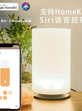HomeKit Matter 智能灯氛围灯 床头灯 Google Alexa SmartThings