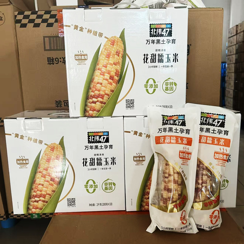 北纬47度花甜糯玉米200g*10根非转基因东北黑土地健身代餐早晚餐