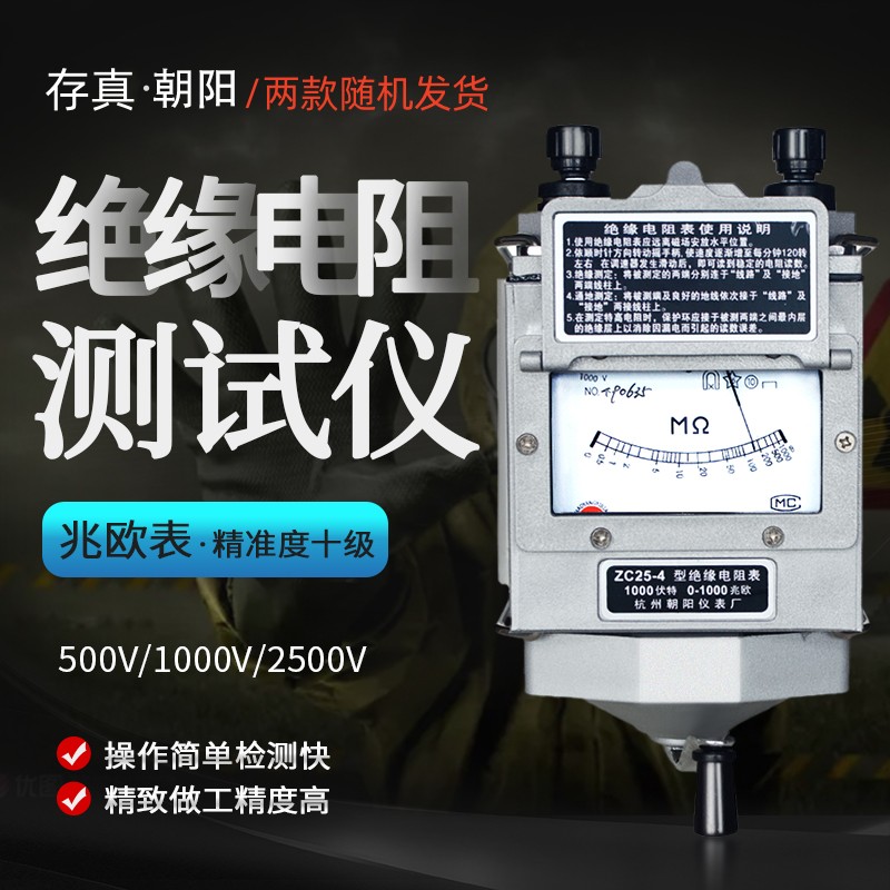 存真电工绝缘电阻测试仪兆欧表