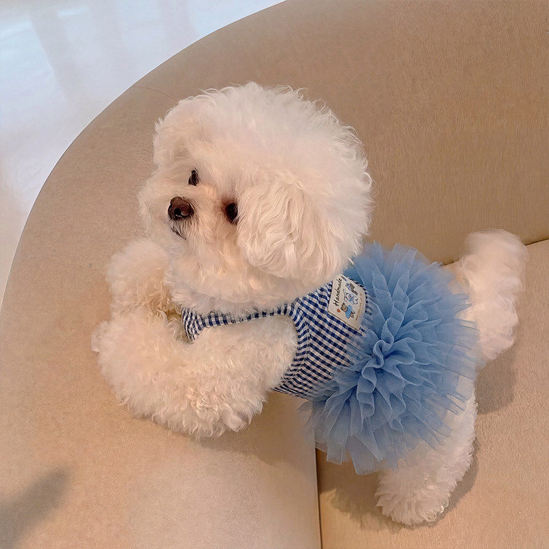 狗狗衣服宠物小狗薄款夏天连衣裙中小型犬比熊泰迪蓬蓬裙2026新款