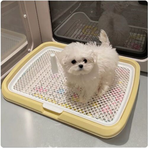 狗狗厕所中小型犬幼狗专用狗尿盆定点上厕所神器宠物狗砂盆大号