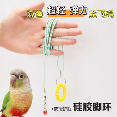 鹦鹉专用脚环放飞绳不伤脚超轻牡丹外出训练绳脚环脚链遛鸟飞行绳