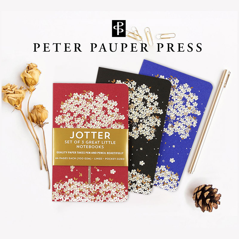 美国Peter Pauper Press精装A6一套3本笔记本精美高档送礼记事本