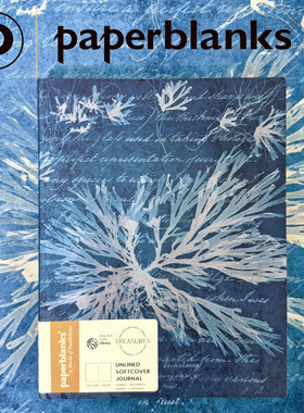 正品进口Paperblanks复古笔记本蓝色海上花高档精美记事本送礼物