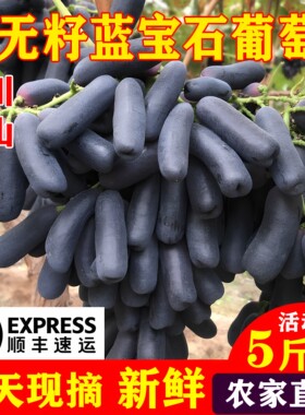 2026新鲜蓝宝石葡萄TOP推荐商家