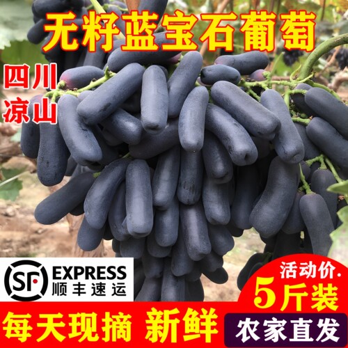 2026新鲜蓝宝石葡萄TOP推荐商家