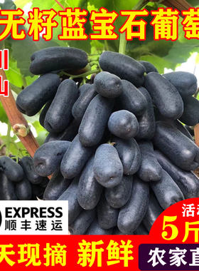 蓝宝石葡萄大颗粒2026热销中..