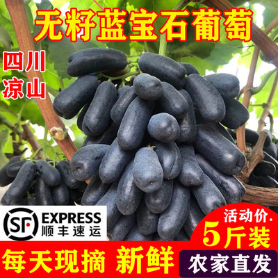 蓝宝石葡萄大颗粒2026热销中..