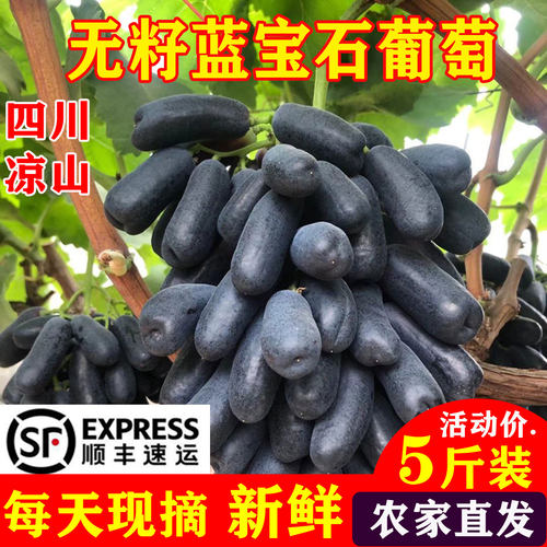 蓝宝石葡萄大颗粒2026热销中..