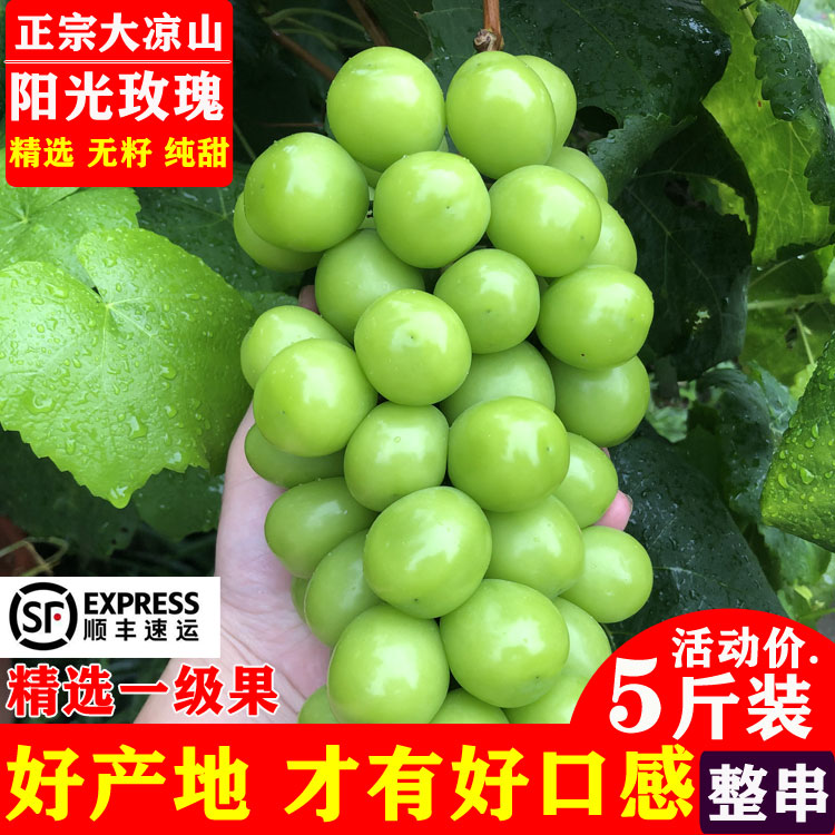 阳光玫瑰葡萄品质商家热卖中...