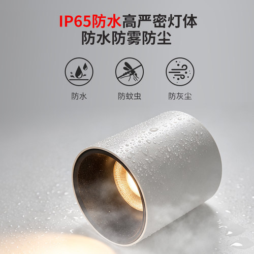 IP65防水防雾厨卫明装射灯