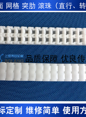 rs35双排齿塑料链条32宽度工程塑胶链条mi思米cheec防静电输送链