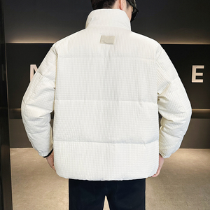 肌理感加厚立领羽绒服男装玉米格冬装外套YR791-P180图片