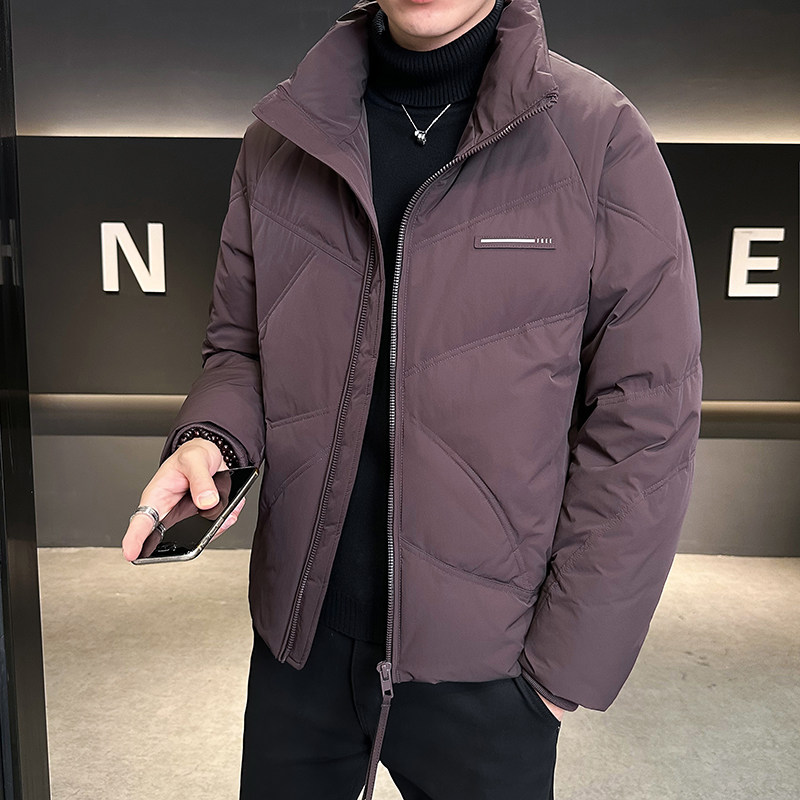 设计师款立领羽绒服男冬季外套3958-P190图片