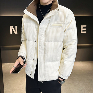 肌理感加厚立领羽绒服男装玉米格冬装外套YR791-P180,男装羽绒服,电商D236（原A051）