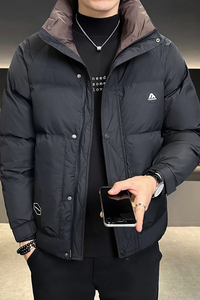 羽绒服男装立领加厚冬装外套8625-P185图片