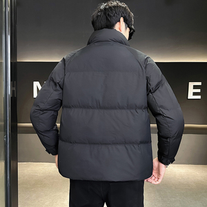 羽绒服男装立领加厚冬装外套8625-P185图片