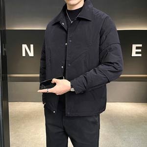 白鸭绒羽绒服男翻领纯色帅休闲百搭外套潮流YR800-P200图片