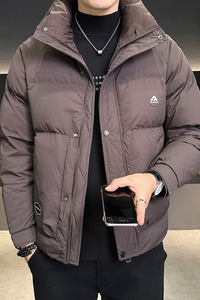 羽绒服男装立领加厚冬装外套8625-P185图片