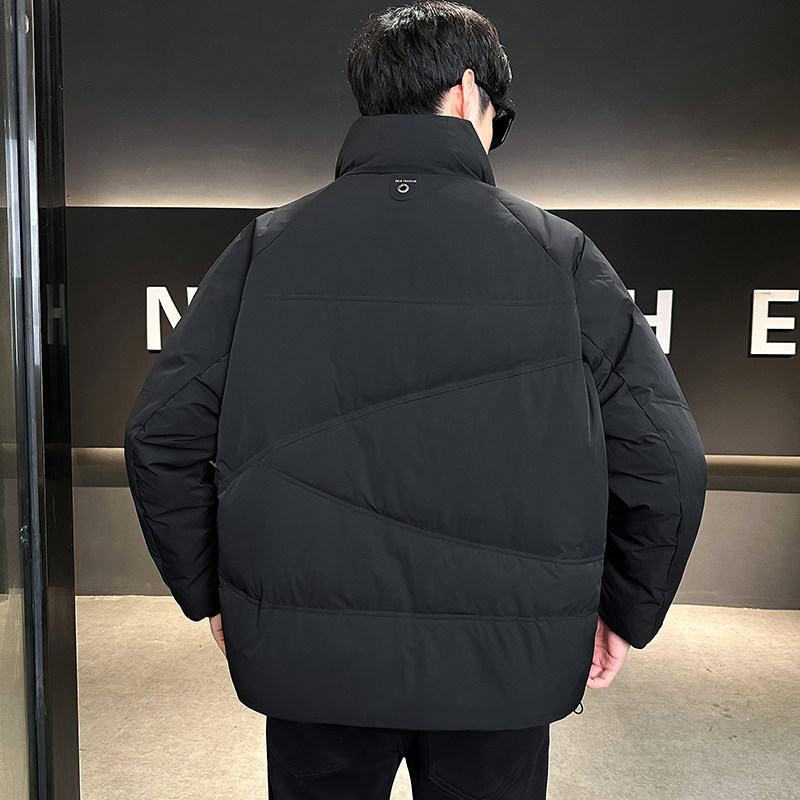 设计师款立领羽绒服男冬季外套3958-P190,男装羽绒服,电商D236（原A051）