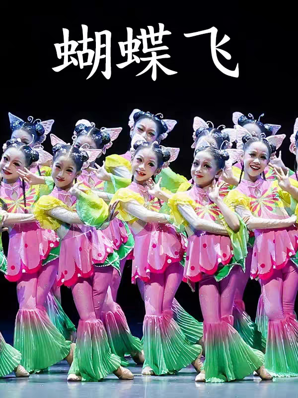 蝴蝶飞群舞儿童演出服古典舞女童艺考彩蝶飞舞蹈服晓春飞蝶表演服