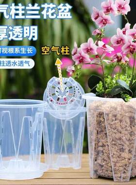 透明兰花透气控根花盆