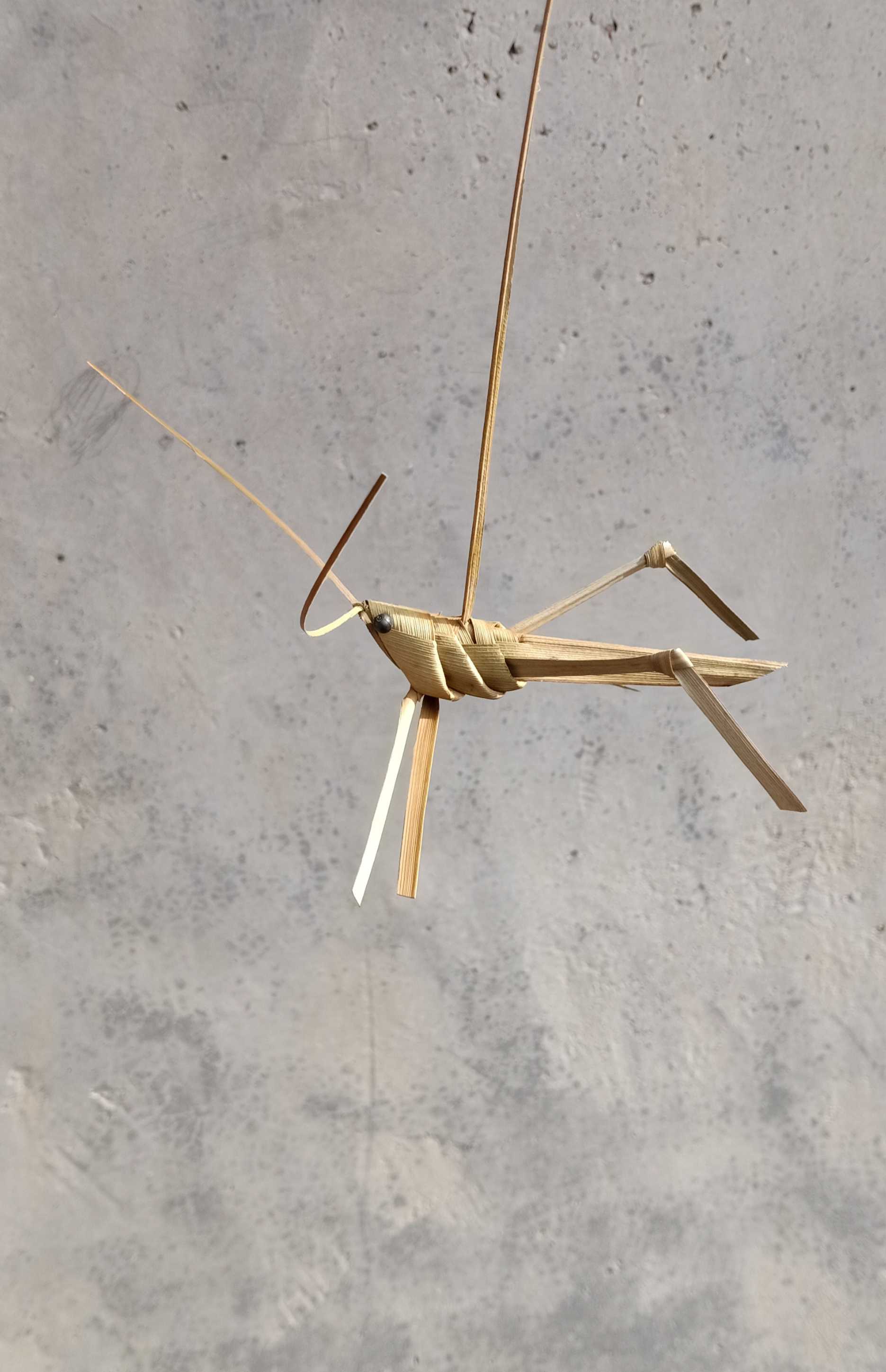 草编动物棕编蚂蚱蚱蜢风干材料古装影视摄影道具怀旧玩具手工作业