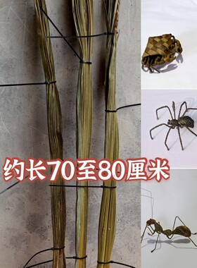 干棕榈树叶棕编材料草编地方特色民间手工编制昆虫动物学校手工