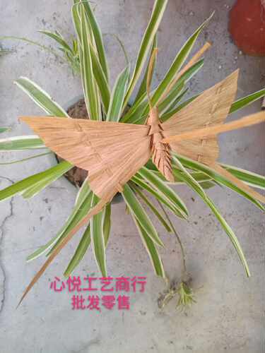 昆虫动物蝴蝶手工纪念热卖装饰品