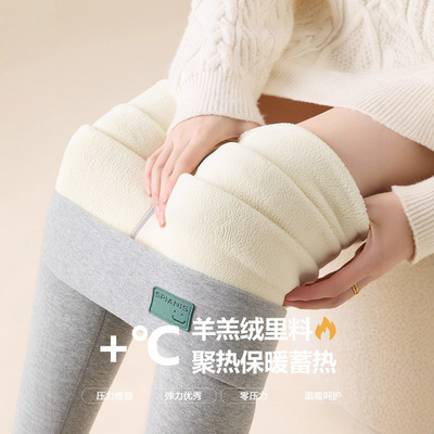 佐丹伊冬外穿哑光棉高腰500克加绒加厚羊羔绒打底裤保暖裤女2438