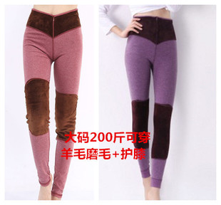 女士高腰羊毛磨毛保暖秋裤 暖宫带护腰护膝200斤可穿打底 加厚大码