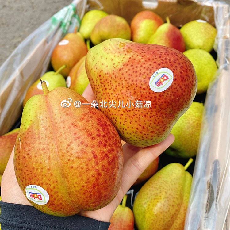 都乐dole大头梨智利啤梨彩啤梨香甜梨硬吃脆甜软吃香甜20粒装