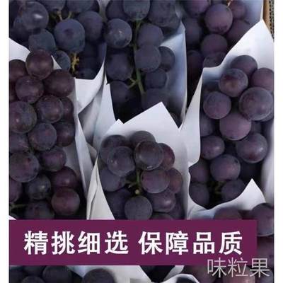 巨峰葡萄新鲜当季水果一整箱大紫色葡萄非无籽超甜应季水果非夏黑